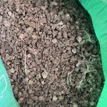 风干鸡粪