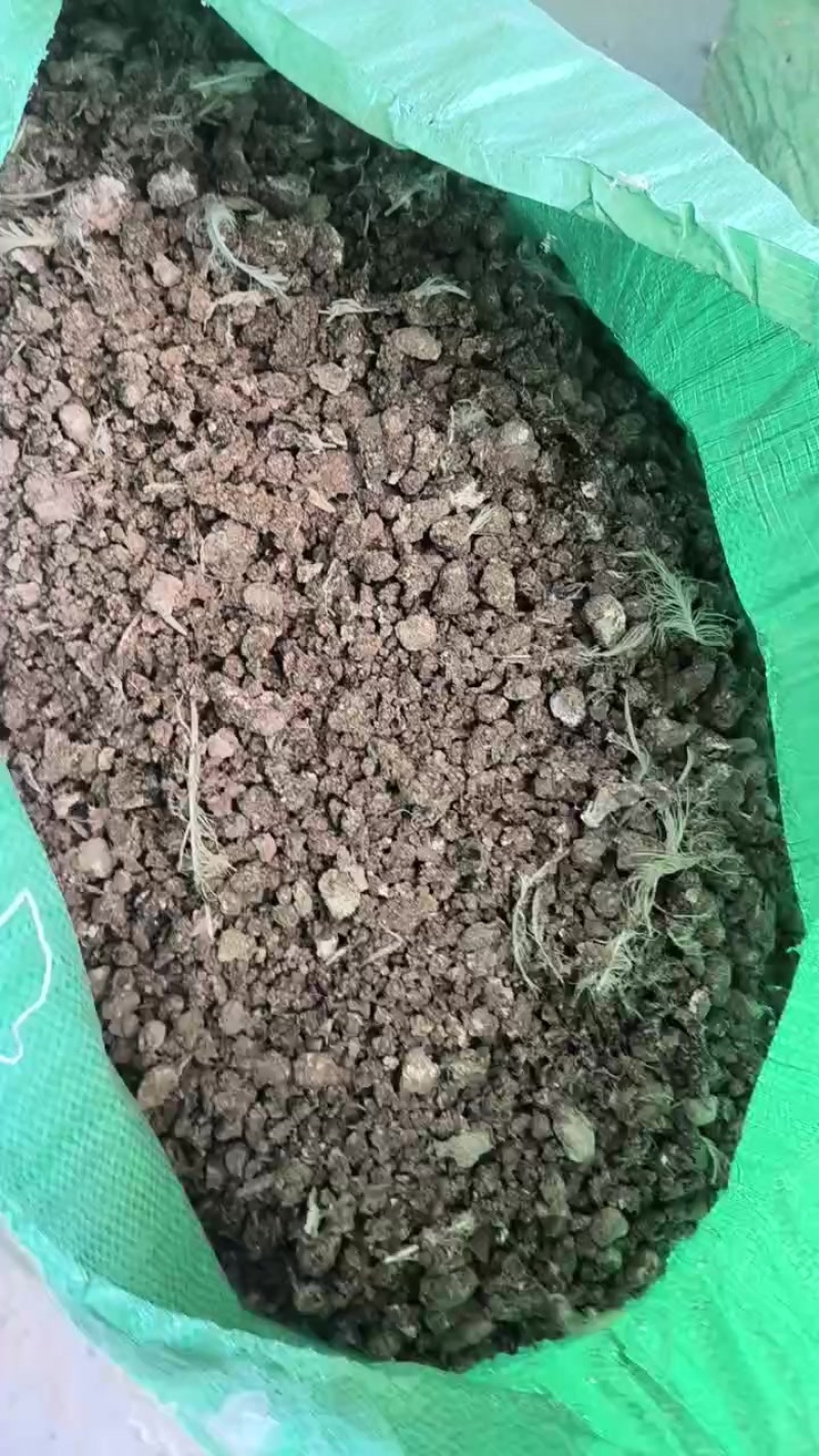 风干鸡粪