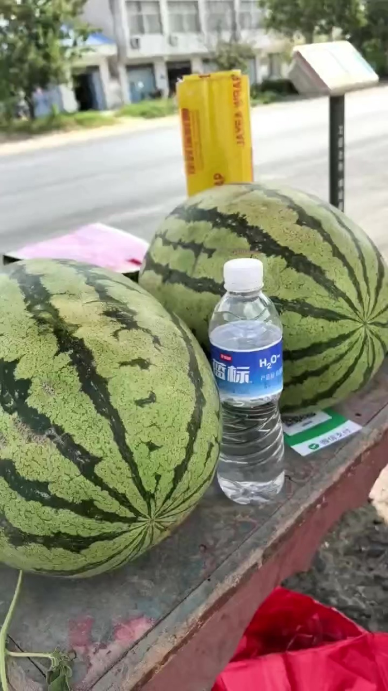 宁夏硒砂瓜
