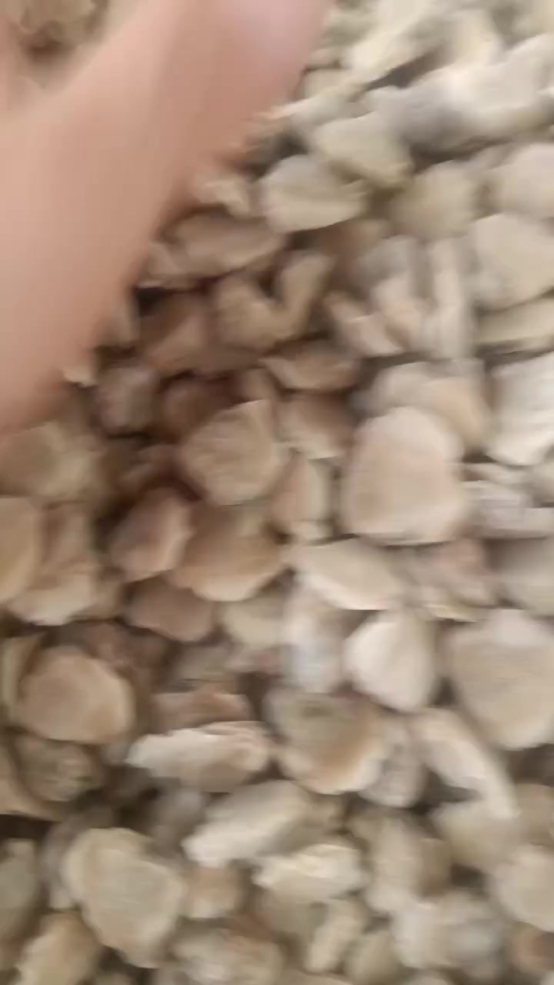 河蚬子肉