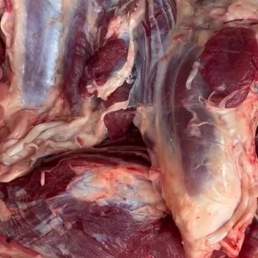 鲜牛肉