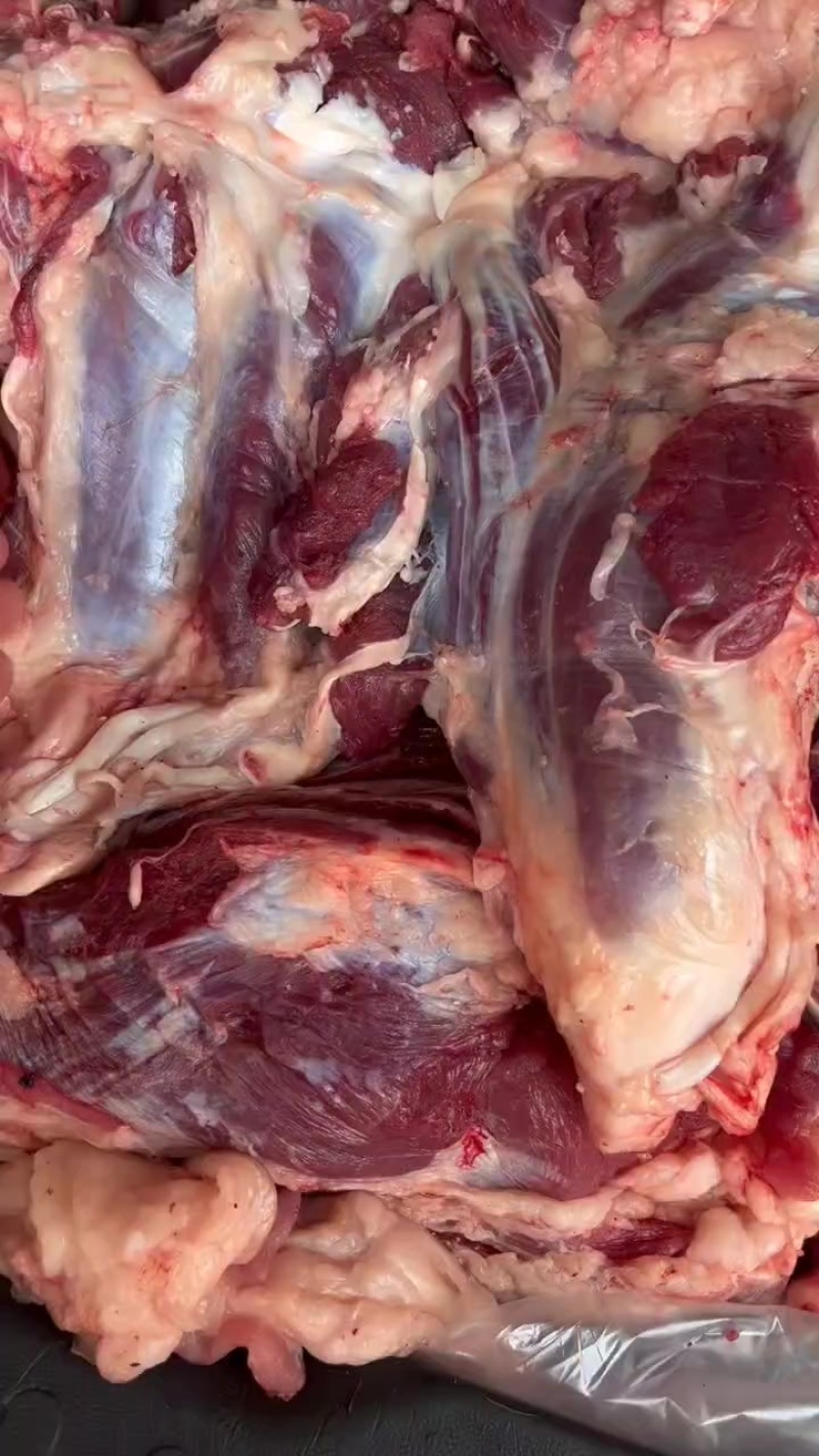 鲜牛肉