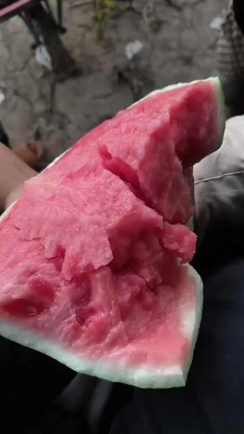 美都头茬无籽