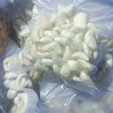 菱角肉