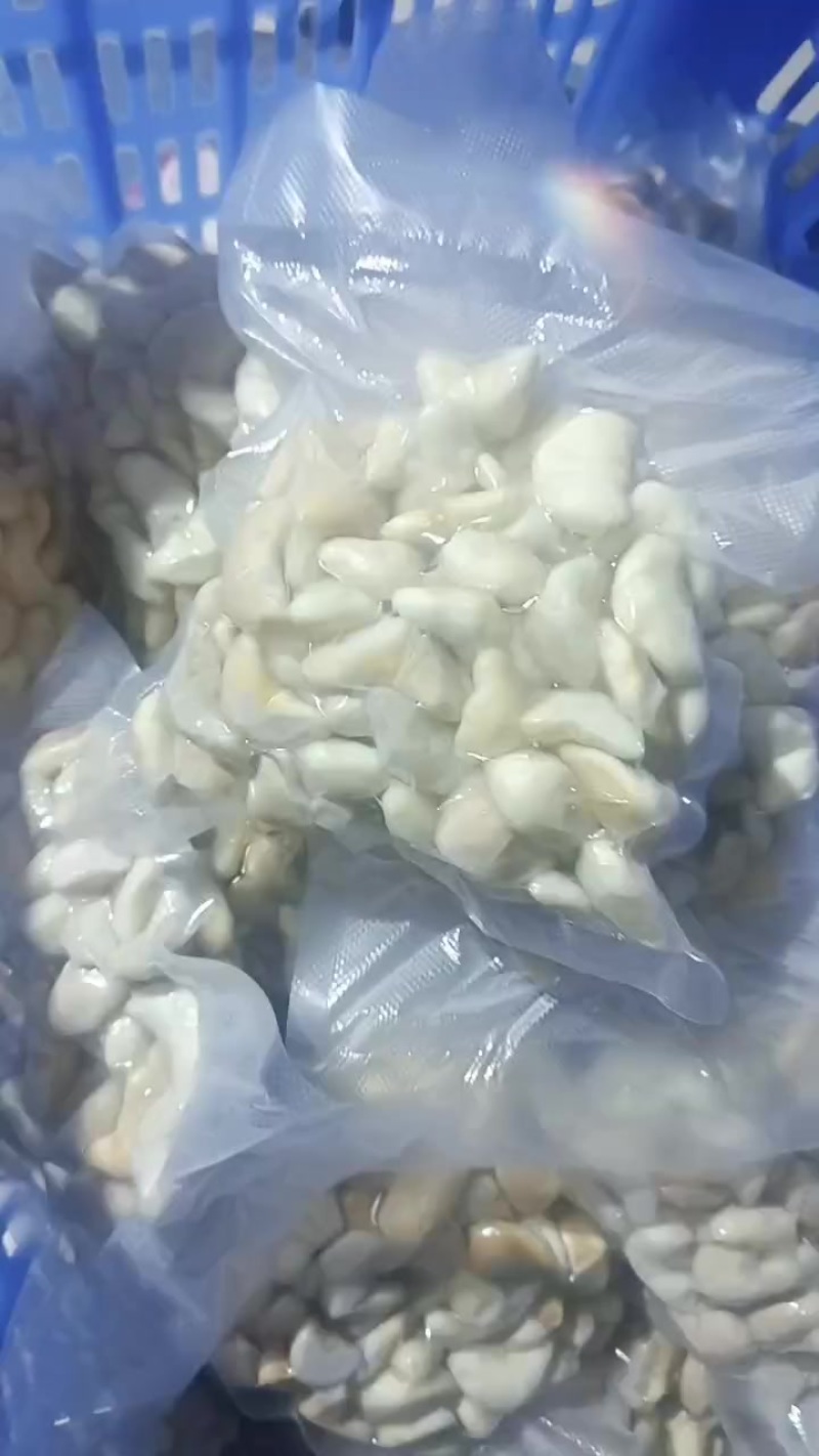 菱角肉