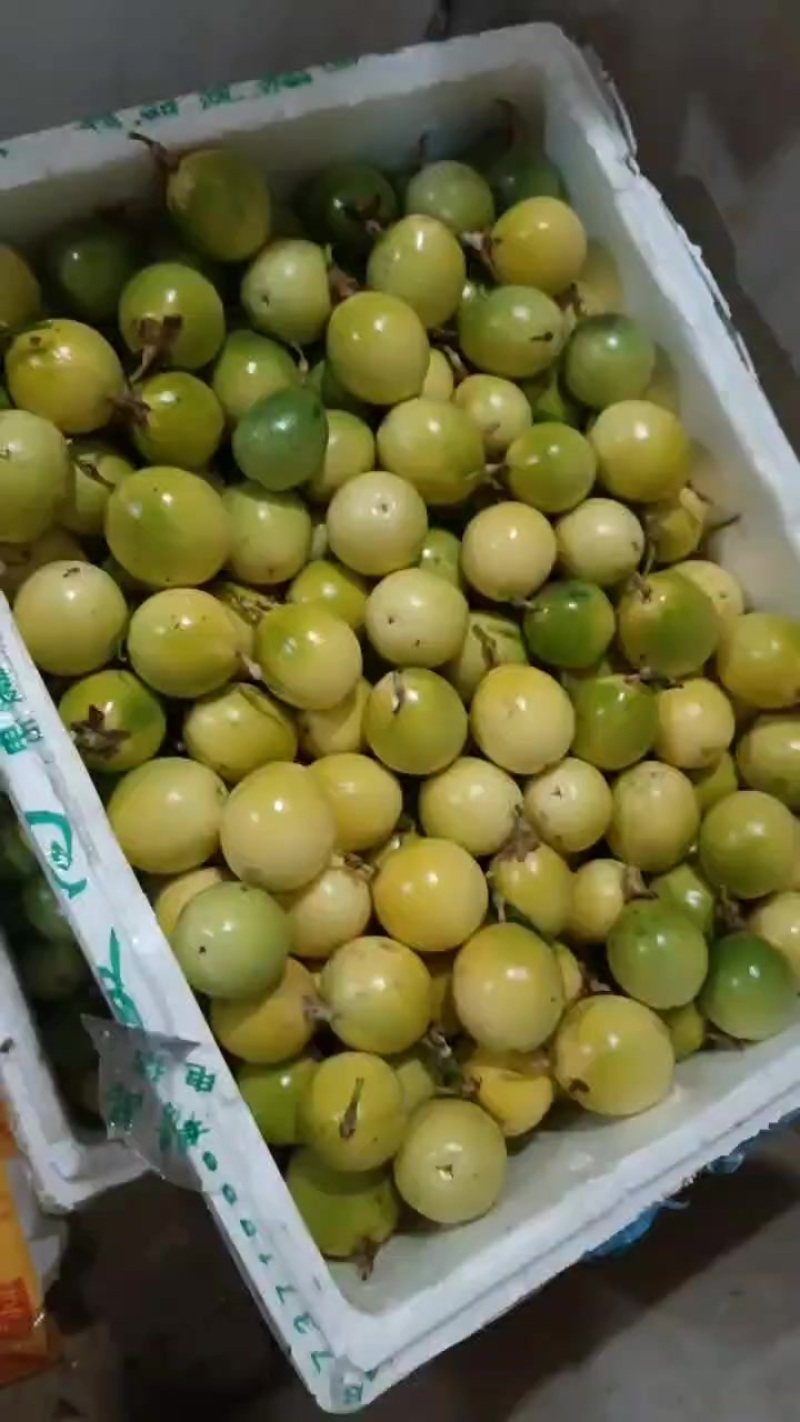 江西赣南黄金百香果