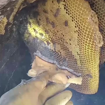 销售蜂蜜
