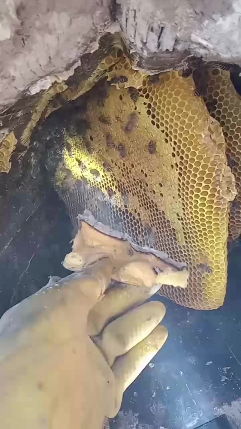 销售蜂蜜