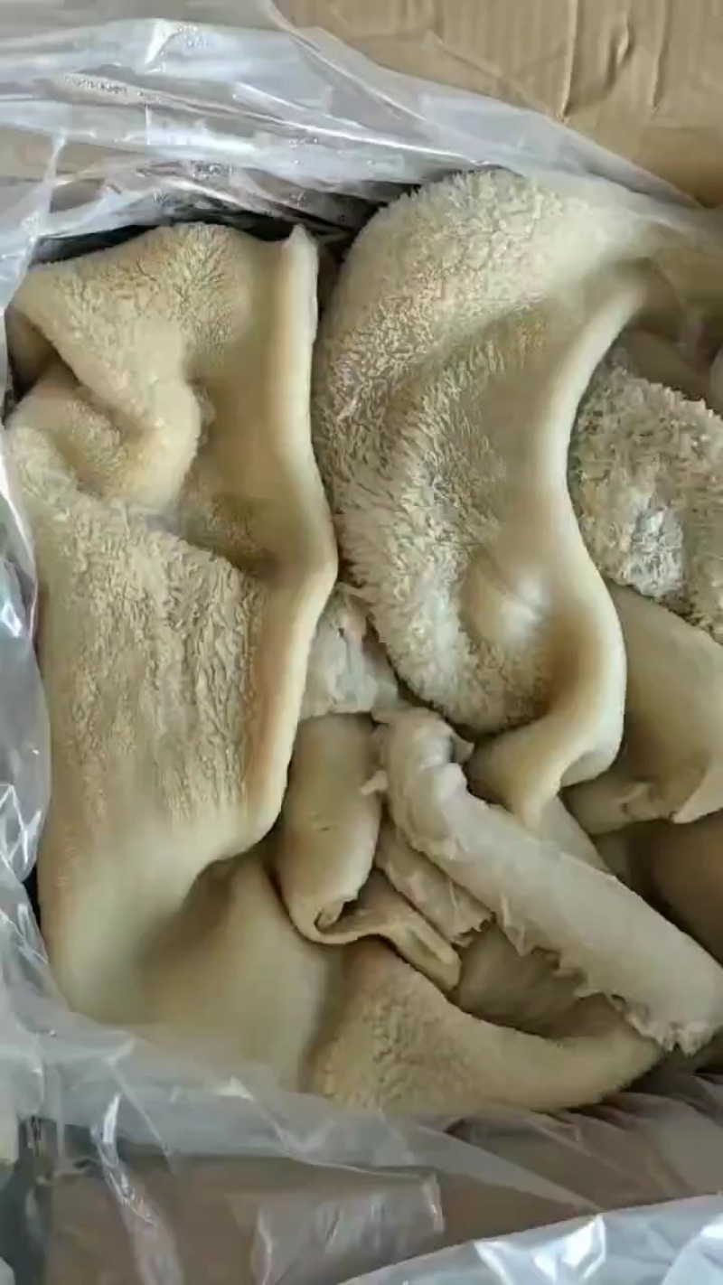 牛肚