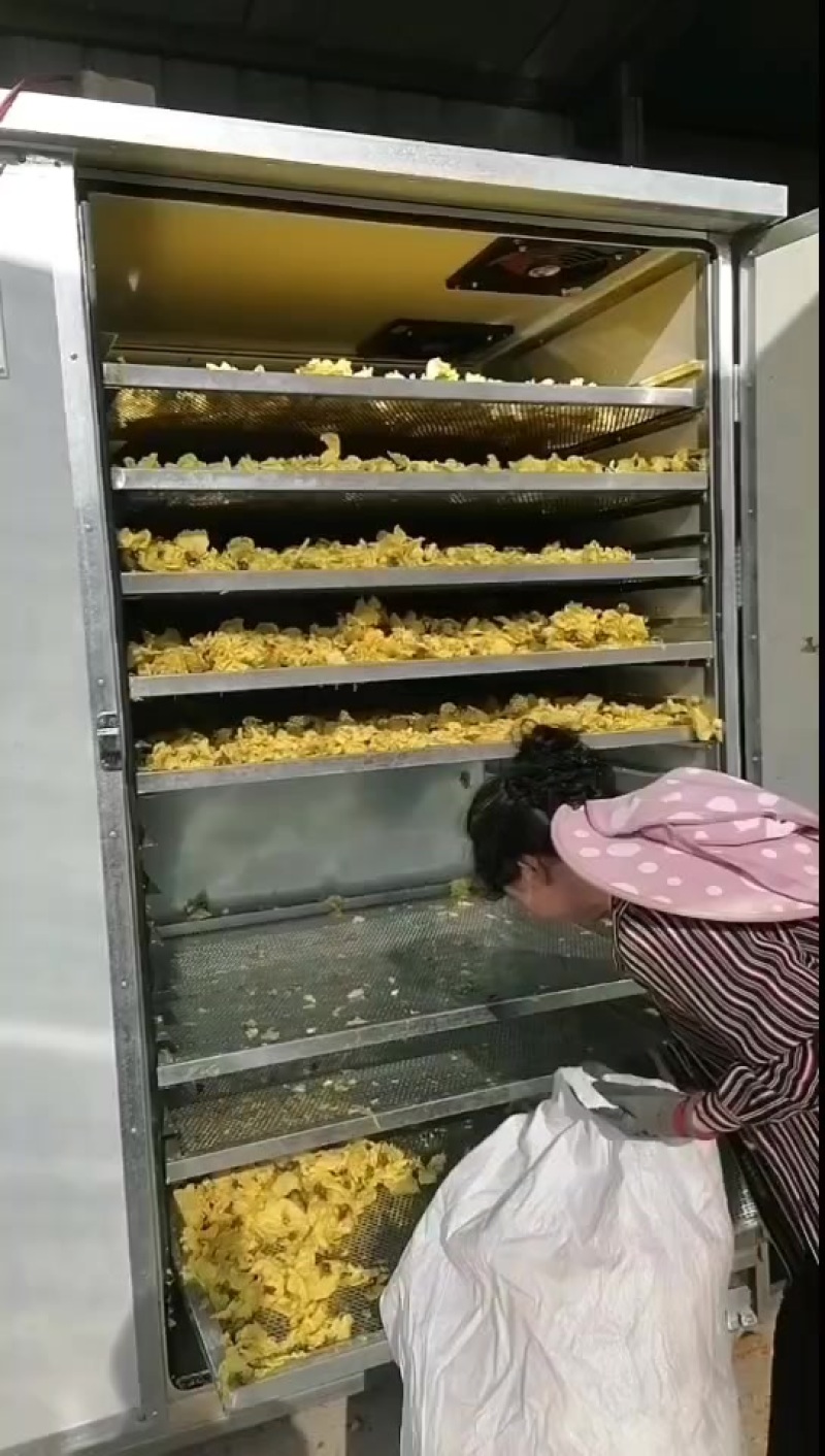豫恒阳果蔬烘干机