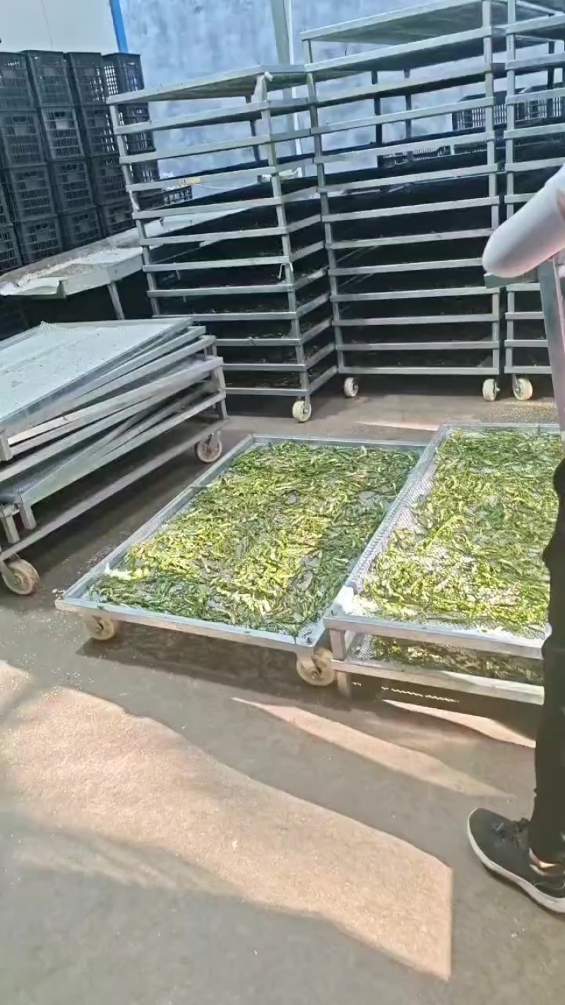 豫恒阳果蔬烘干机