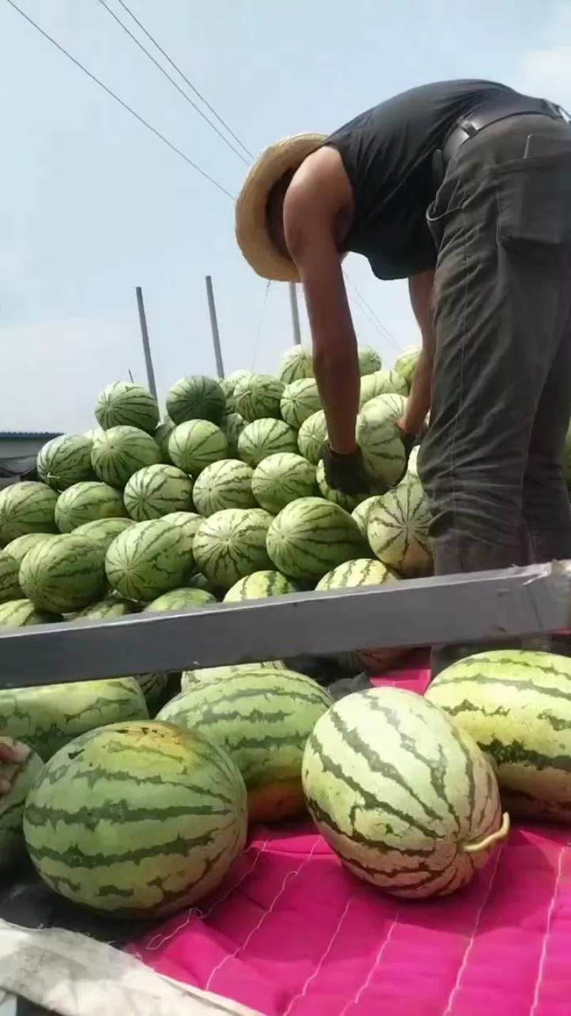 西瓜