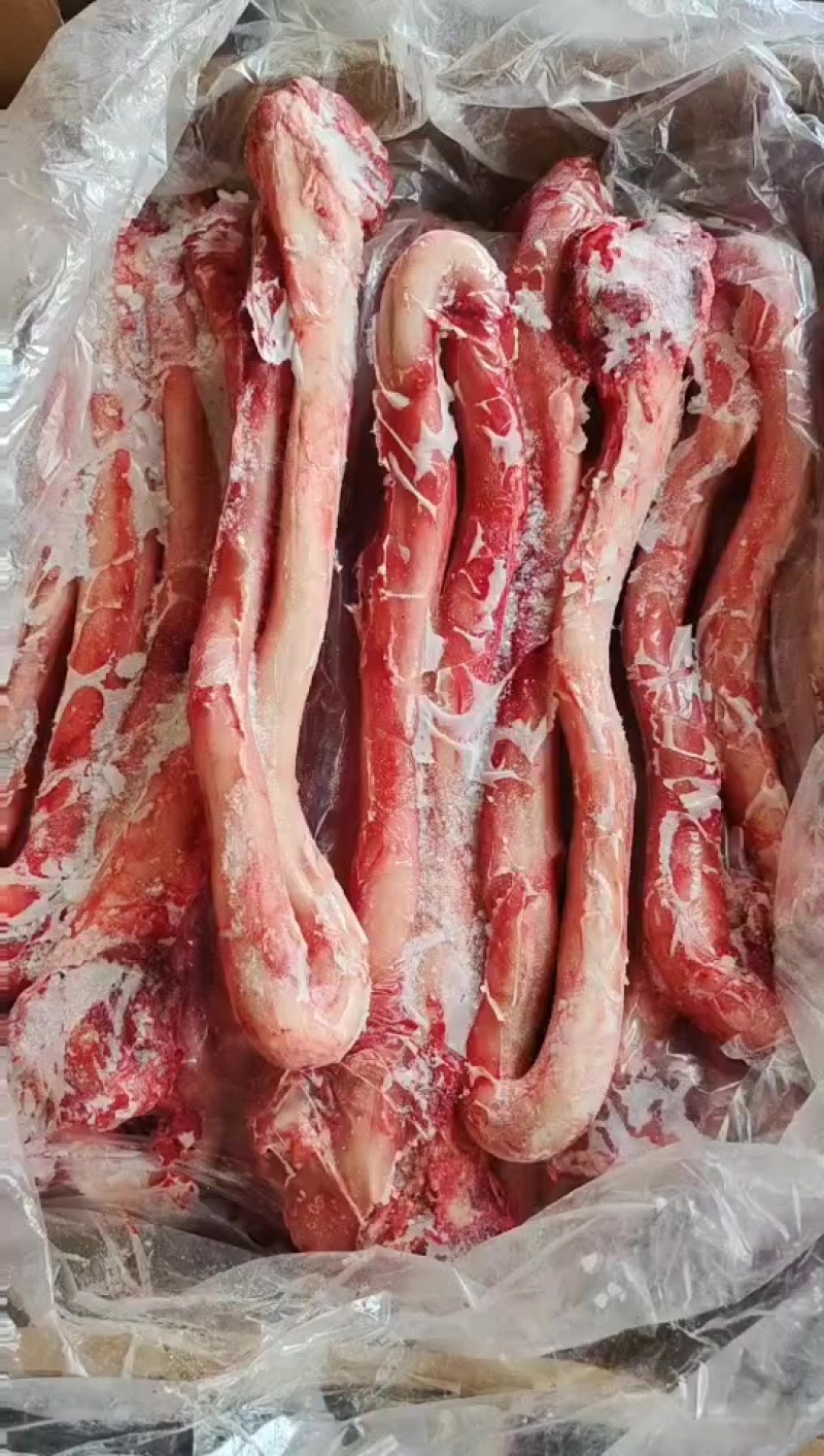 牛鞭