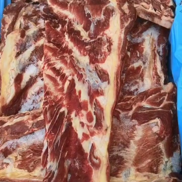 牛羽骨