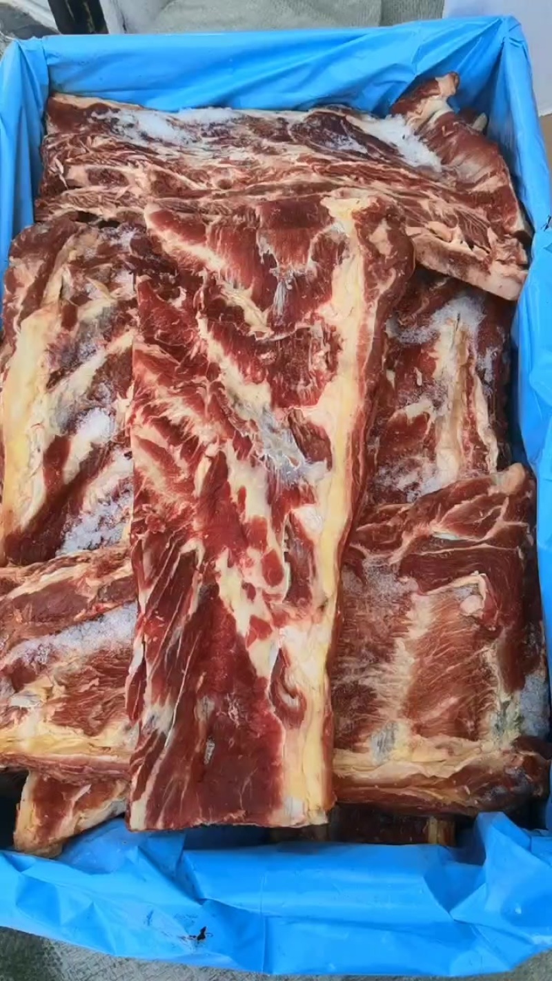 牛羽骨