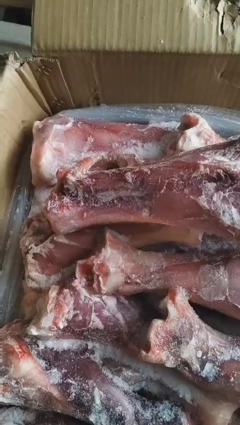 带腱牛后棒骨