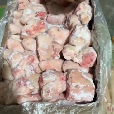 皮拐骨，脚圈