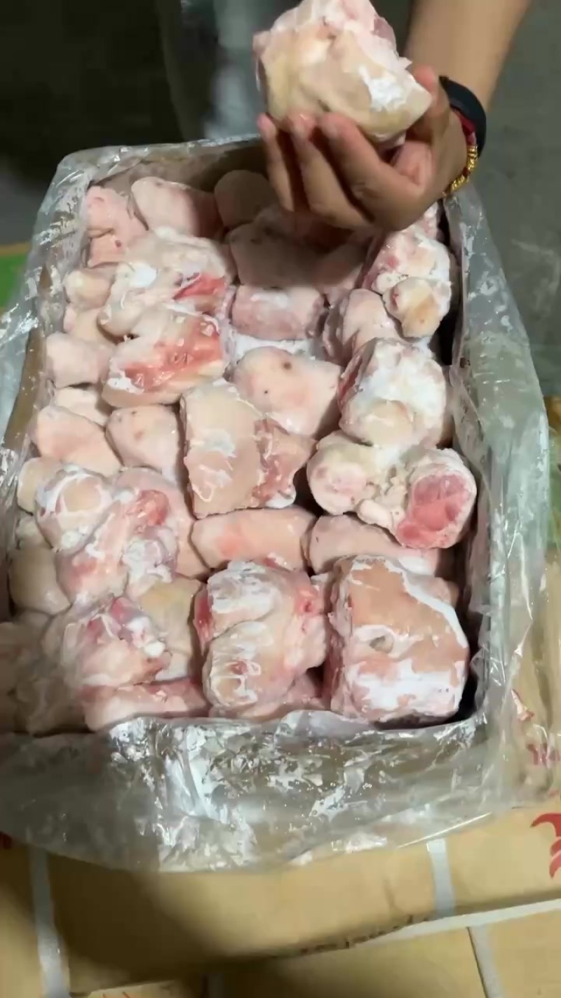 皮拐骨，脚圈