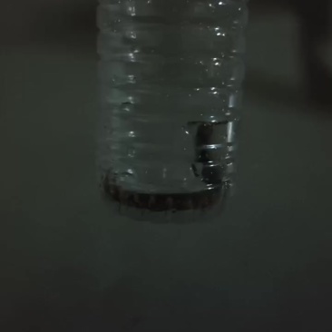 活蜈蚣