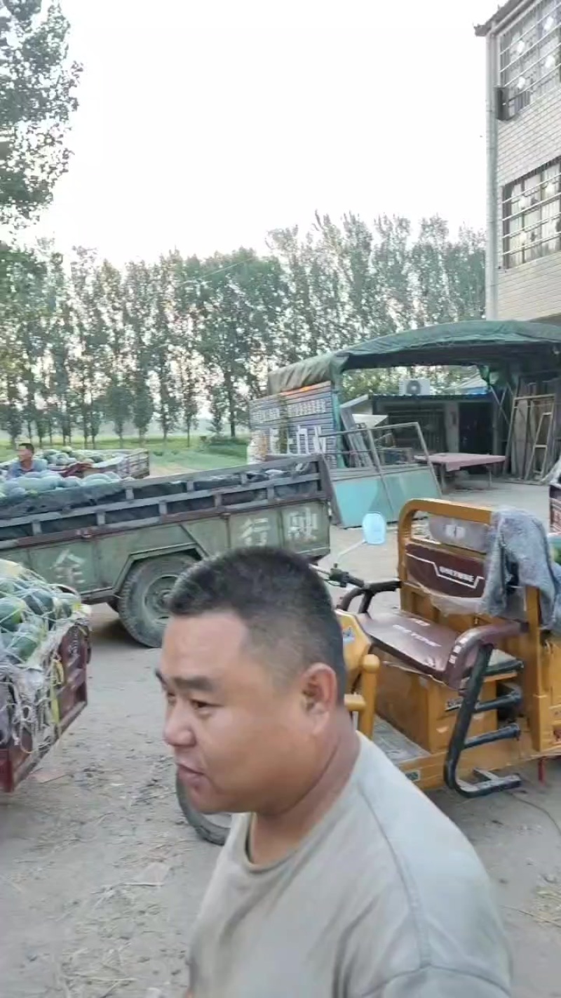 河南黑美人西瓜，通货，二级瓜大量有货需要的老板抓紧联系我