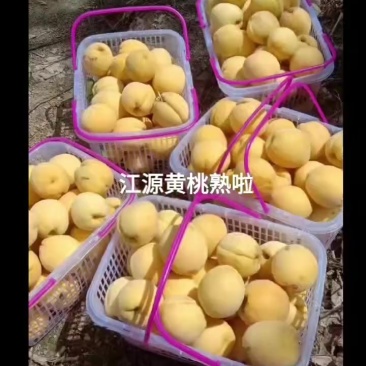 黄桃