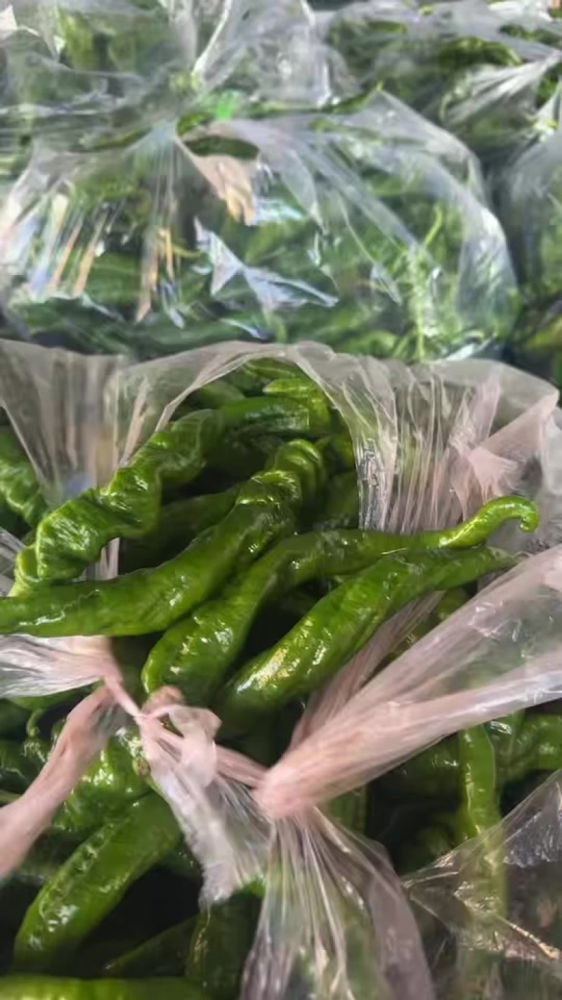 贵州赫章辣椒