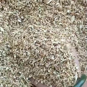 陇西黄芪