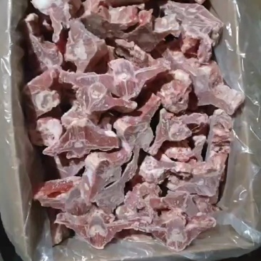 加肥羊蝎子