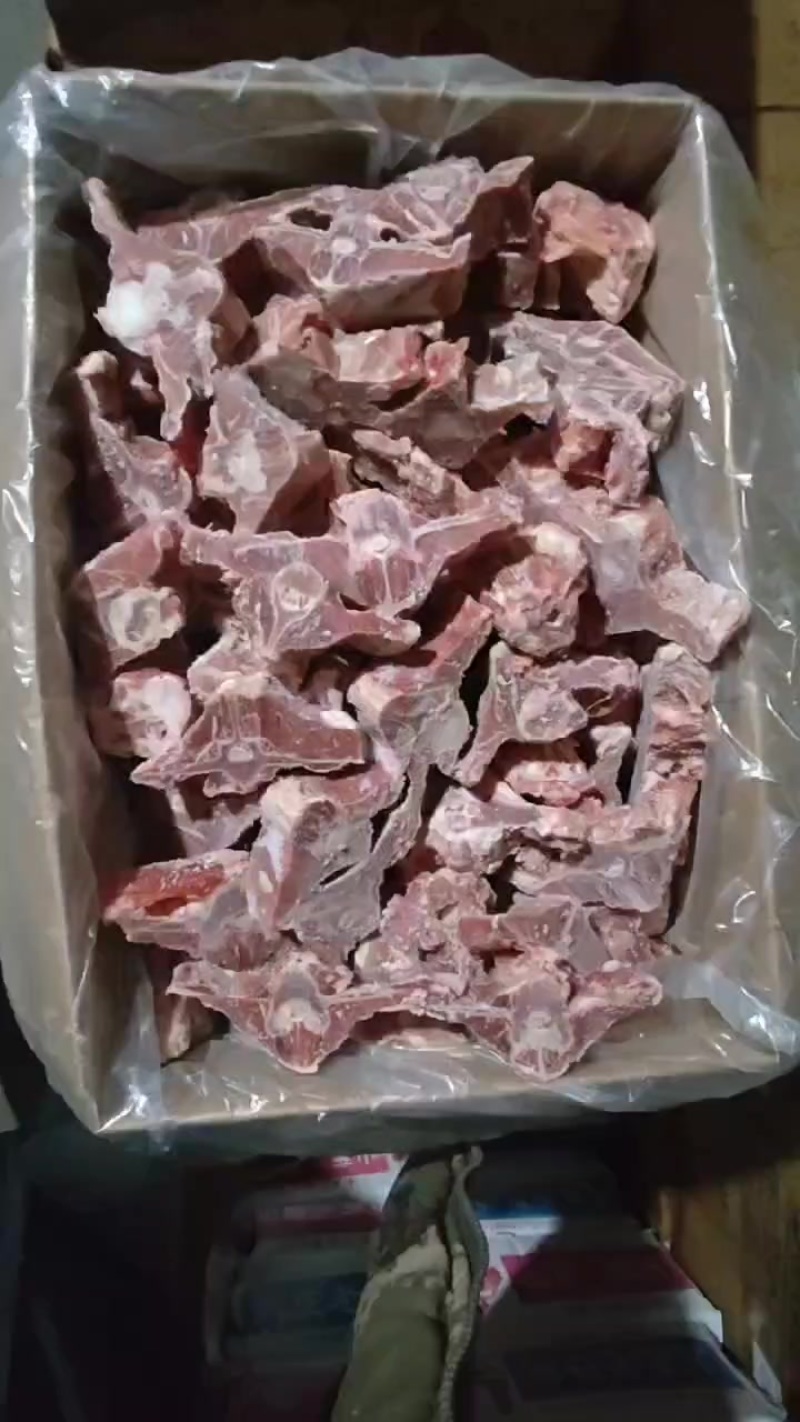 加肥羊蝎子