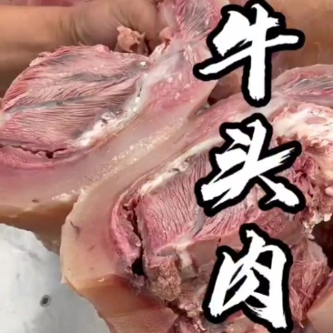 水煮熟牛头肉！火烧毛，没有异味！精修去油去淋巴！