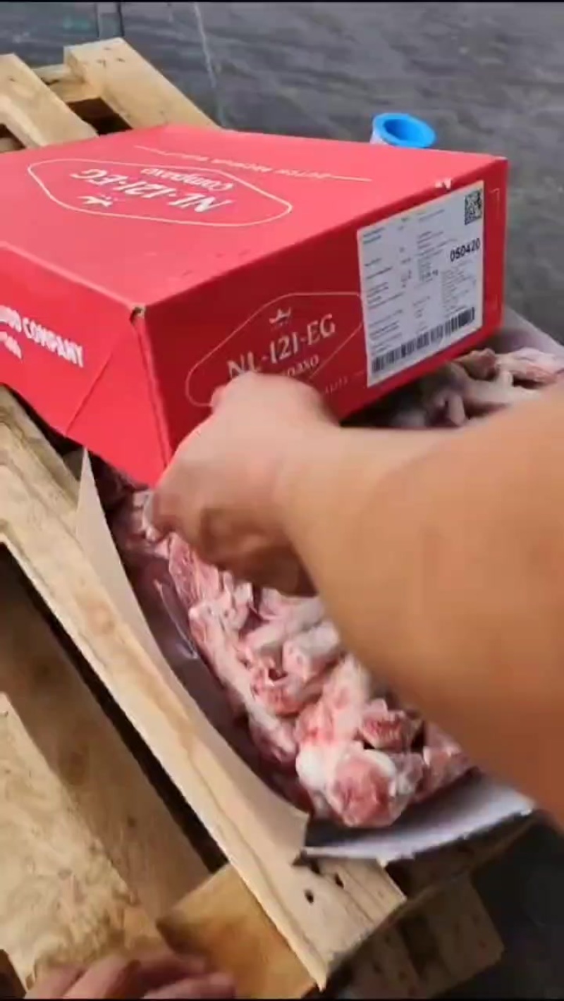 121肋排条