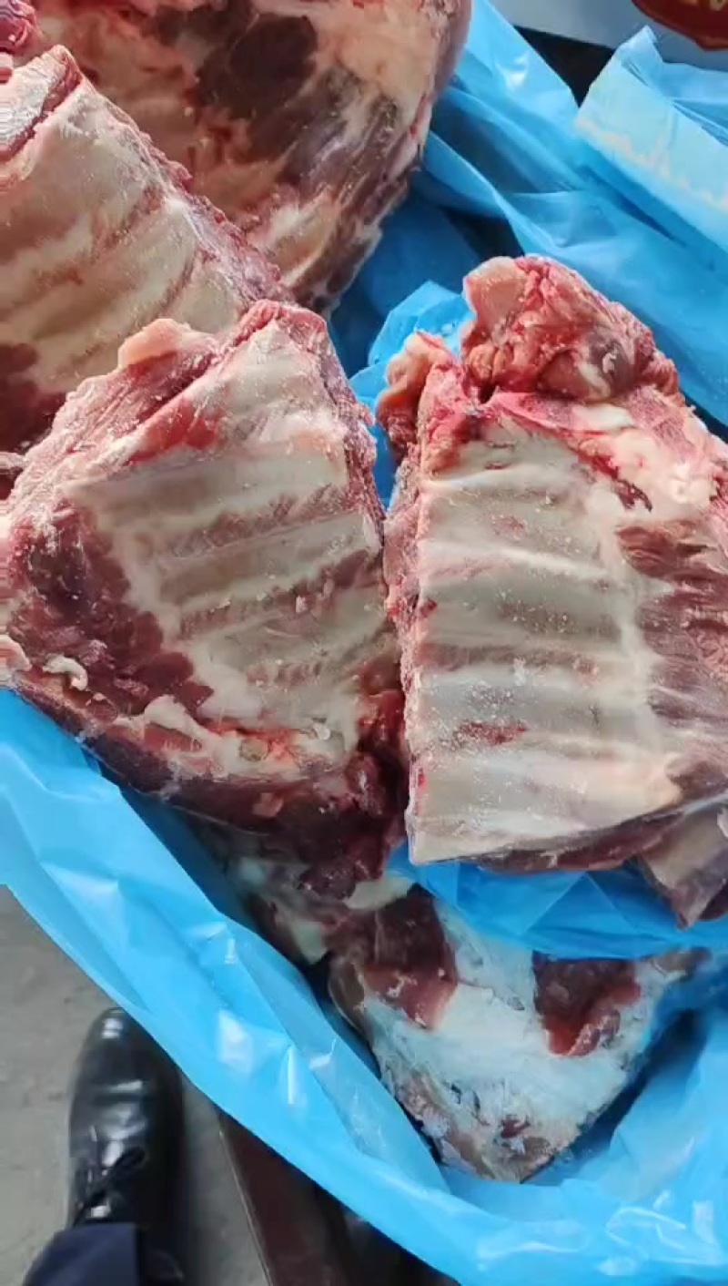 多肉小排