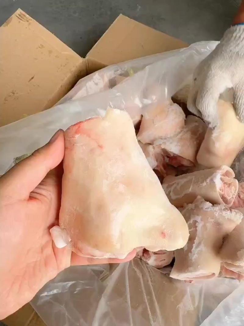 国产小肘子
