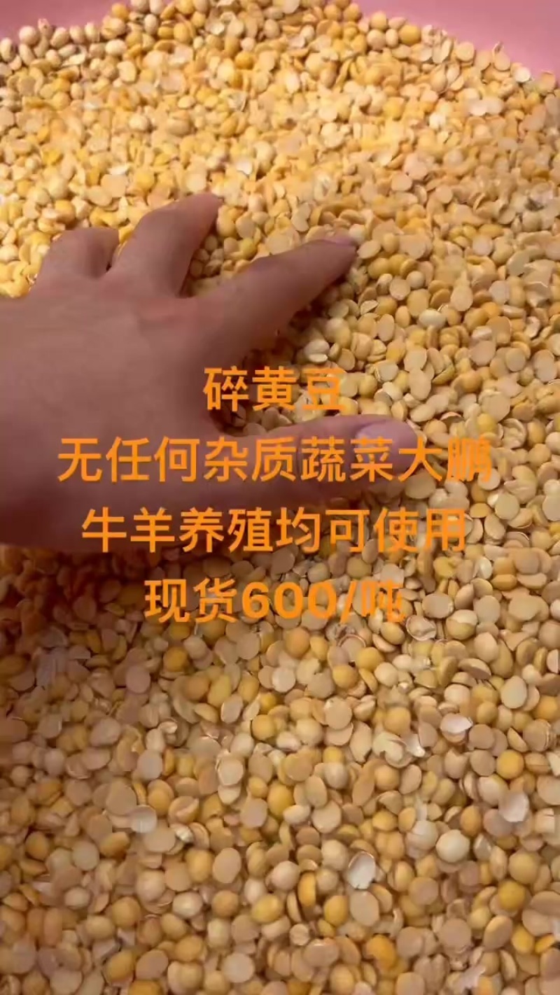 碎黄豆