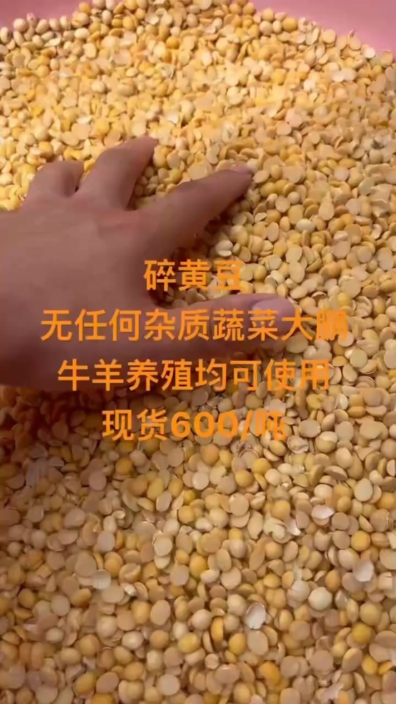 碎黄豆
