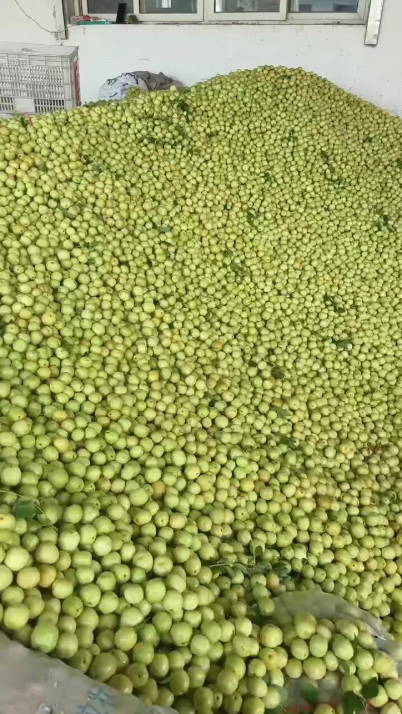 枣脆王大量上市，对接各大平台，支持一件代发，电商，大量招