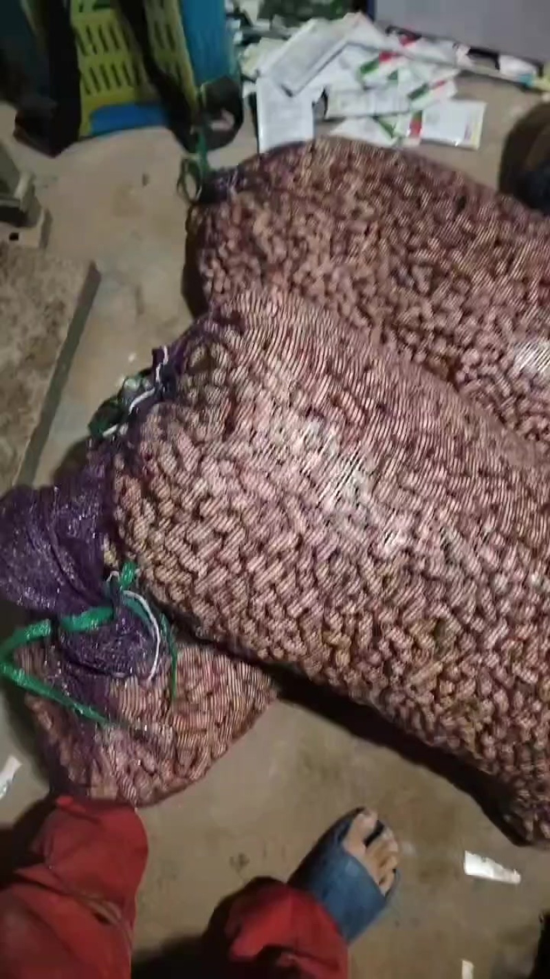 花生