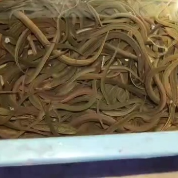 自提不快递价格详谈电话先联系