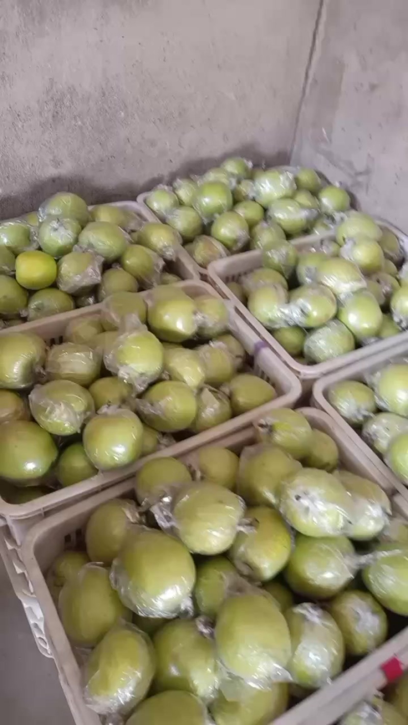 膜袋皇冠梨