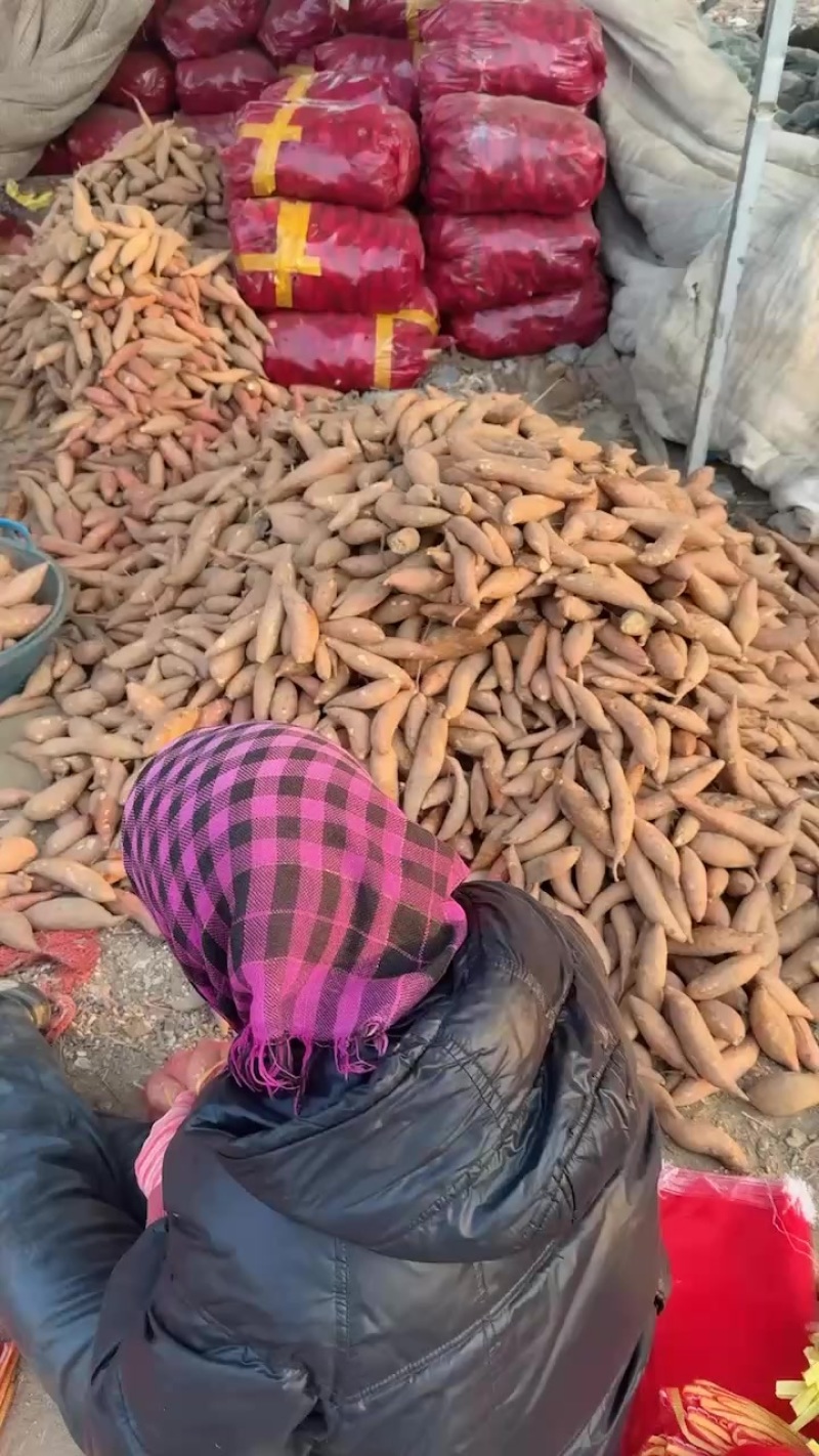 网贷红薯🍠