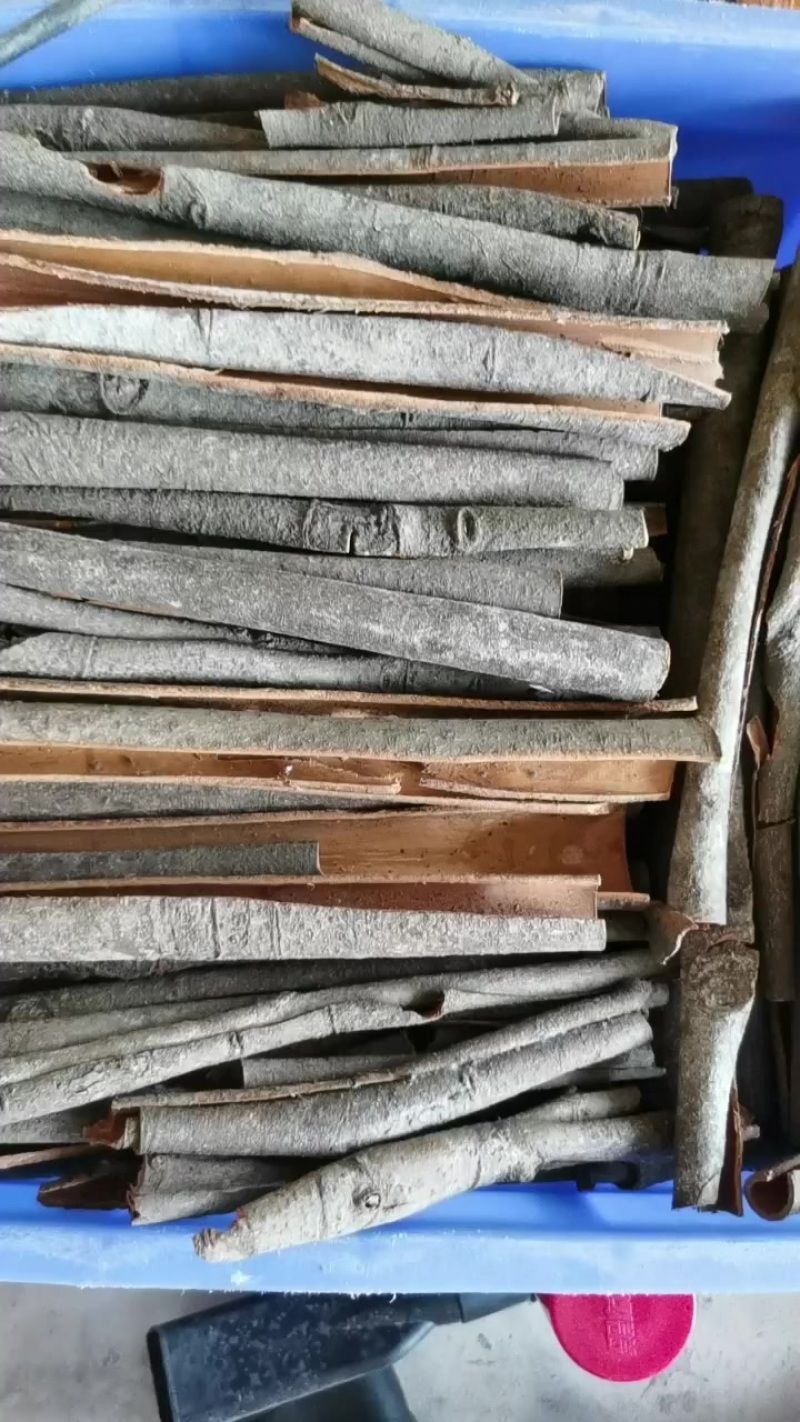 玉桂皮