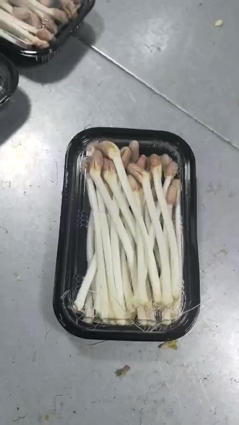 只做精品