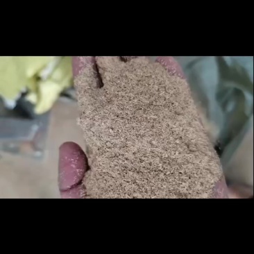 1.0谷糠现货
