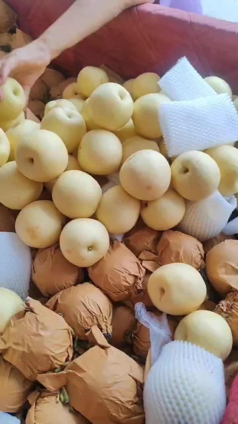 皇冠梨