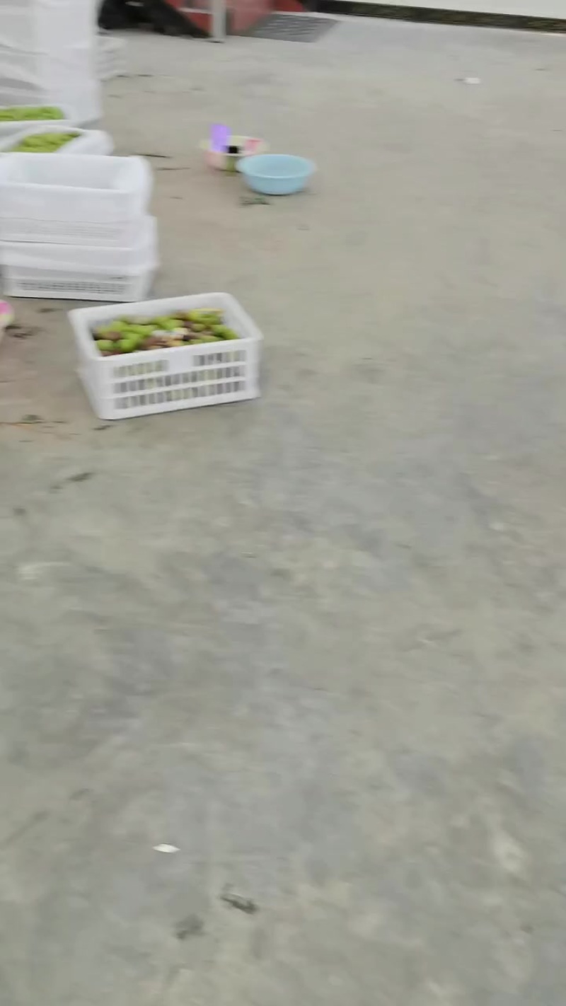 半边红
