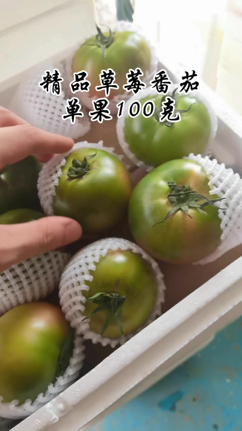 精品草莓番茄