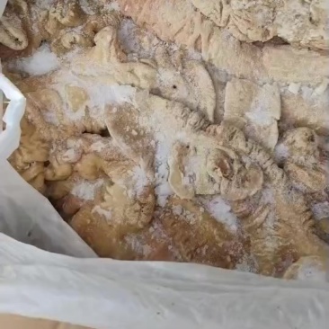 二级预煮大肠2吨