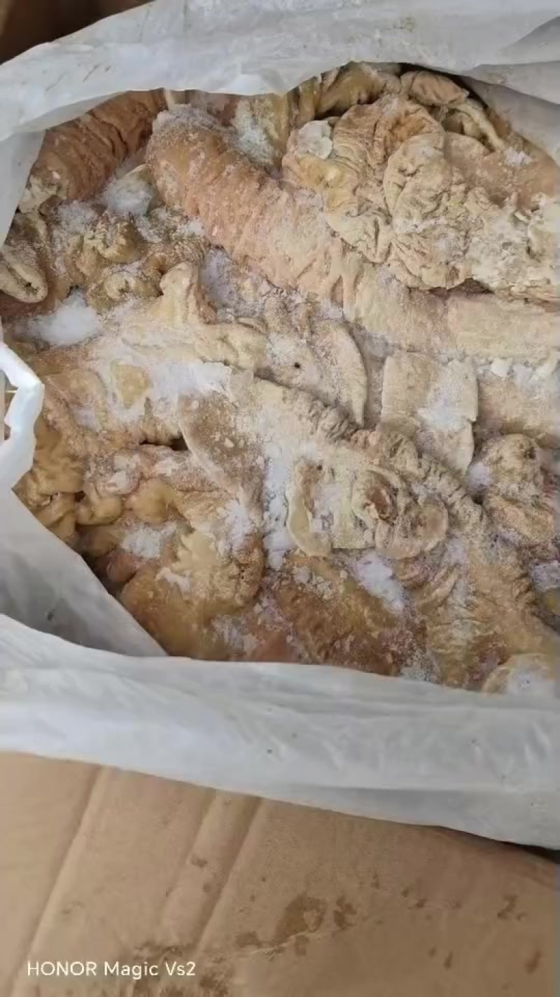 二级预煮大肠2吨