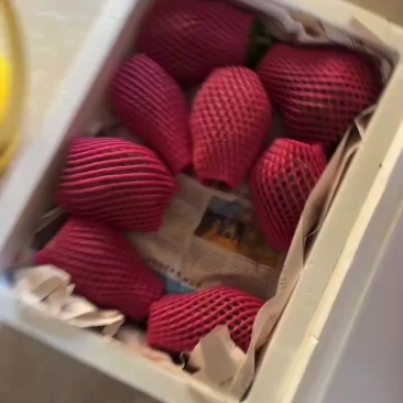 佛手柑，观赏，奶茶果