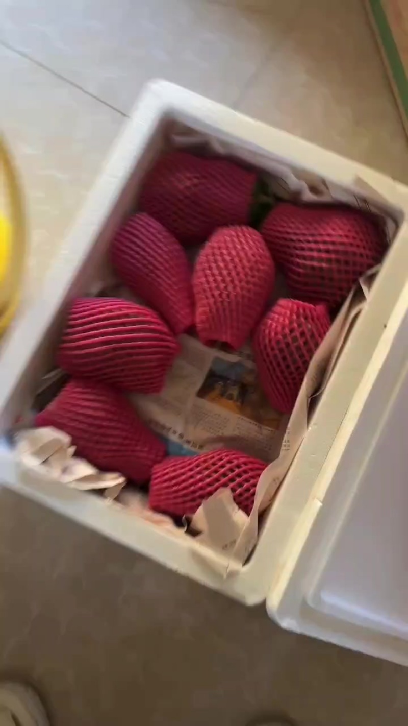 佛手柑，观赏，奶茶果